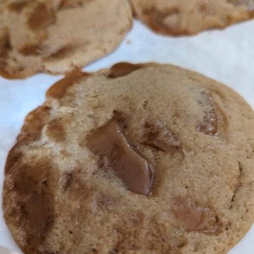 d59385d0-8644-49de-abaa-fb7019c45edf